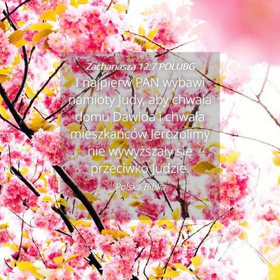 Picture 04 - Zachariasza 12:7 POLUBG - I najpierw PAN wybawi namioty Judy, aby chwała - Bible Verse Picture