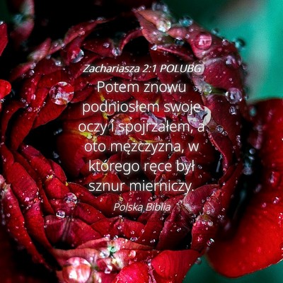Picture 04 - Zachariasza 2:1 POLUBG - Potem znowu podniosłem swoje oczy i spojrzałem, - Bible Verse Picture