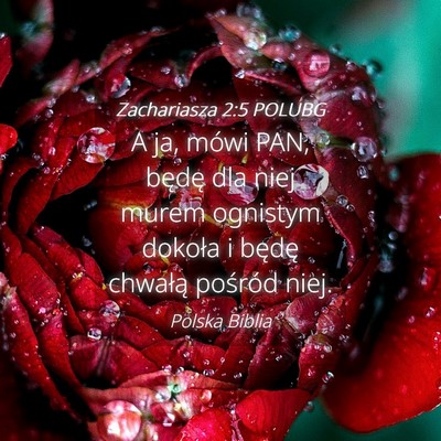 Picture 04 - Zachariasza 2:5 POLUBG - A ja, mówi PAN, będę dla niej murem ognistym - Bible Verse Picture