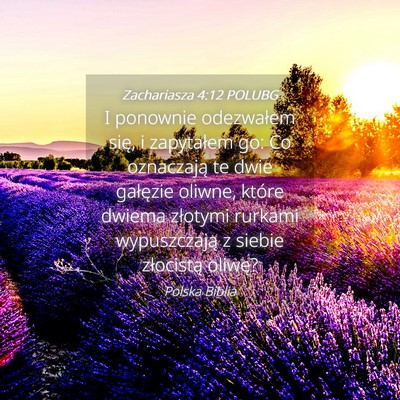 Picture 04 - Zachariasza 4:12 POLUBG - I ponownie odezwałem się, i zapytałem go: Co - Bible Verse Picture
