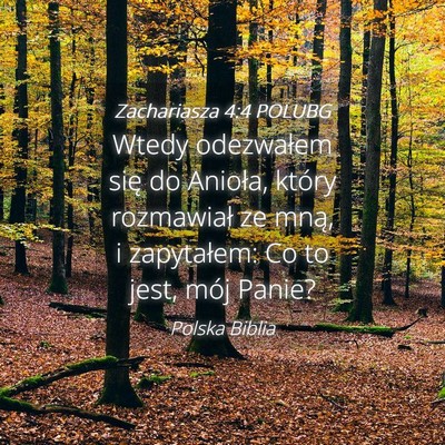 Picture 04 - Zachariasza 4:4 POLUBG - Wtedy odezwałem się do Anioła, który - Bible Verse Picture