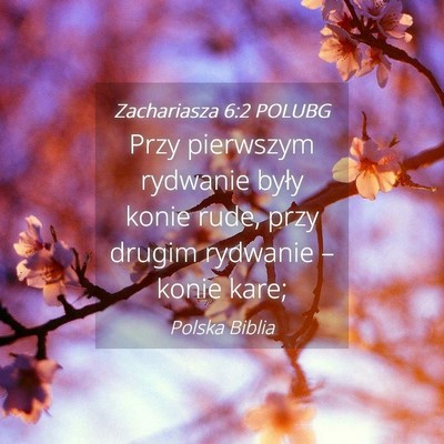 Picture 04 - Zachariasza 6:2 POLUBG - Przy pierwszym rydwanie były konie rude, przy - Bible Verse Picture