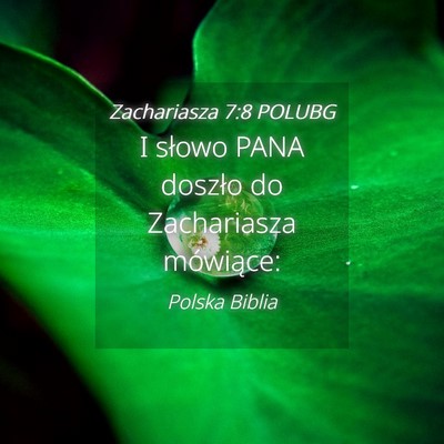 Picture 04 - Zachariasza 7:8 POLUBG - I słowo PANA doszło do Zachariasza - Bible Verse Picture
