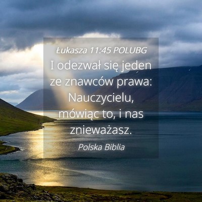 Picture 04 - Łukasza 11:45 POLUBG - I odezwał się jeden ze znawców prawa: - Bible Verse Picture