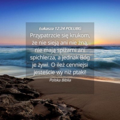 Picture 04 - Łukasza 12:24 POLUBG - Przypatrzcie się krukom, że nie sieją ani nie - Bible Verse Picture