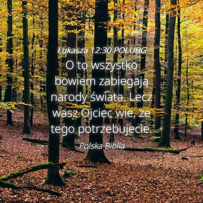 Picture 04 - Łukasza 12:30 POLUBG - O to wszystko bowiem zabiegają narody świata. - Bible Verse Picture