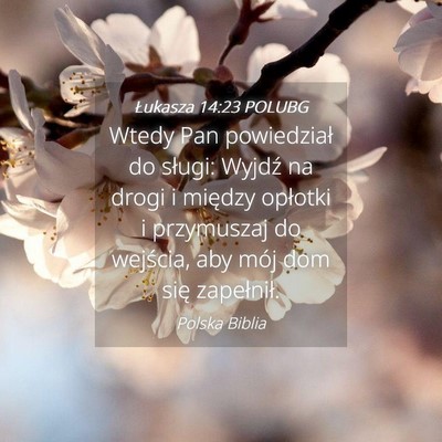 Picture 04 - Łukasza 14:23 POLUBG - Wtedy Pan powiedział do sługi: Wyjdź na drogi - Bible Verse Picture