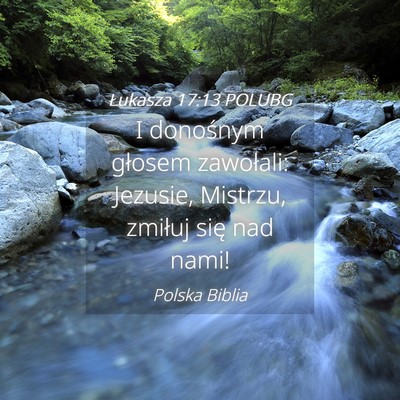 Picture 04 - Łukasza 17:13 POLUBG - I donośnym głosem zawołali: Jezusie, Mistrzu, - Bible Verse Picture