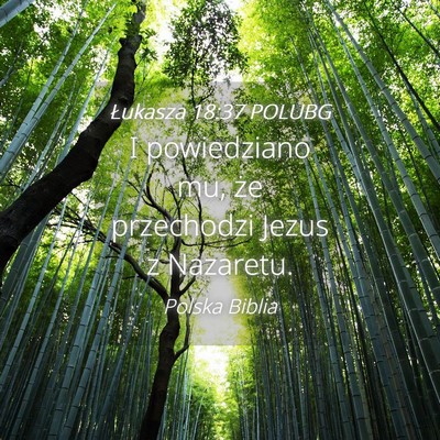 Picture 04 - Łukasza 18:37 POLUBG - I powiedziano mu, że przechodzi Jezus z - Bible Verse Picture