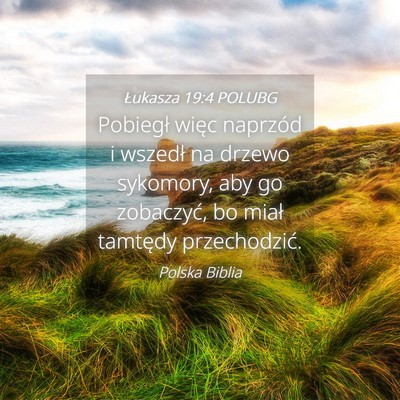 Picture 04 - Łukasza 19:4 POLUBG - Pobiegł więc naprzód i wszedł na drzewo - Bible Verse Picture