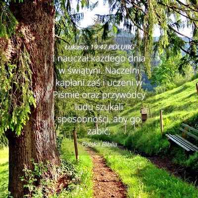 Picture 04 - Łukasza 19:47 POLUBG - I nauczał każdego dnia w świątyni. Naczelni - Bible Verse Picture