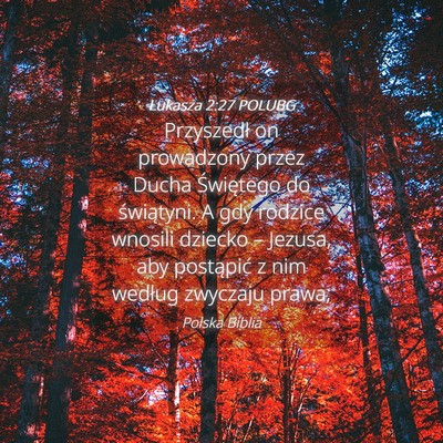 Picture 04 - Łukasza 2:27 POLUBG - Przyszedł on prowadzony przez Ducha Świętego - Bible Verse Picture