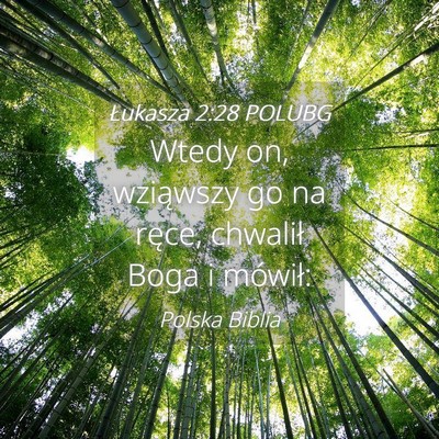 Picture 04 - Łukasza 2:28 POLUBG - Wtedy on, wziąwszy go na ręce, chwalił Boga i - Bible Verse Picture