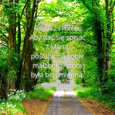 Picture 04 - Łukasza 2:5 POLUBG - Aby dać się spisać z Marią, poślubioną - Bible Verse Picture