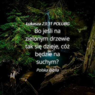Picture 04 - Łukasza 23:31 POLUBG - Bo jeśli na zielonym drzewie tak się dzieje, - Bible Verse Picture