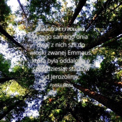 Picture 04 - Łukasza 24:13 POLUBG - A tego samego dnia dwaj z nich szli do wioski - Bible Verse Picture