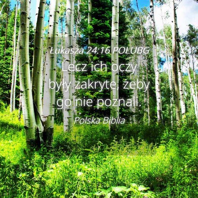 Picture 04 - Łukasza 24:16 POLUBG - Lecz ich oczy były zakryte, żeby go nie - Bible Verse Picture