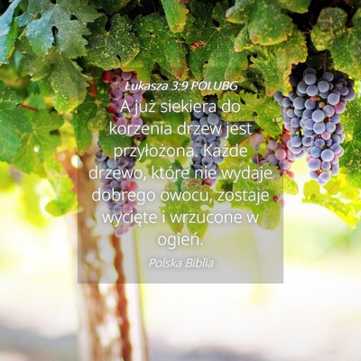 Picture 04 - Łukasza 3:9 POLUBG - A już siekiera do korzenia drzew jest - Bible Verse Picture