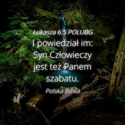 Picture 04 - Łukasza 6:5 POLUBG - I powiedział im: Syn Człowieczy jest też Panem - Bible Verse Picture