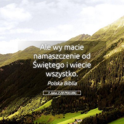 Picture 05 - 1 Jana 2:20 POLUBG - Ale wy macie namaszczenie od Świętego i wiecie - Bible Verse Picture
