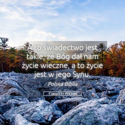 Picture 05 - 1 Jana 5:11 POLUBG - A to świadectwo jest takie, że Bóg dał nam - Bible Verse Picture