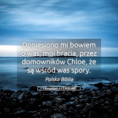 Picture 05 - 1 Koryntian 1:11 POLUBG - Doniesiono mi bowiem o was, moi bracia, przez - Bible Verse Picture