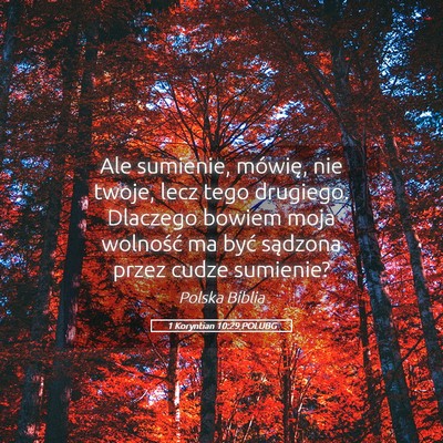 Picture 05 - 1 Koryntian 10:29 POLUBG - Ale sumienie, mówię, nie twoje, lecz tego - Bible Verse Picture