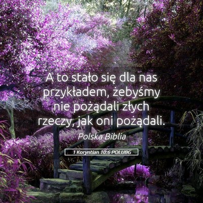 Picture 05 - 1 Koryntian 10:6 POLUBG - A to stało się dla nas przykładem, żebyśmy - Bible Verse Picture