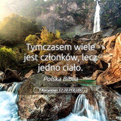 Picture 05 - 1 Koryntian 12:20 POLUBG - Tymczasem wiele jest członków, lecz jedno - Bible Verse Picture