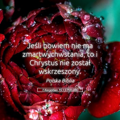 Picture 05 - 1 Koryntian 15:13 POLUBG - Jeśli bowiem nie ma zmartwychwstania, to i - Bible Verse Picture