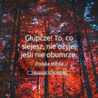 Picture 05 - 1 Koryntian 15:36 POLUBG - Głupcze! To, co siejesz, nie ożyje, jeśli nie - Bible Verse Picture