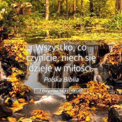 Picture 05 - 1 Koryntian 16:14 POLUBG - Wszystko, co czynicie, niech się dzieje w - Bible Verse Picture