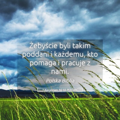 Picture 05 - 1 Koryntian 16:16 POLUBG - Żebyście byli takim poddani i każdemu, kto - Bible Verse Picture