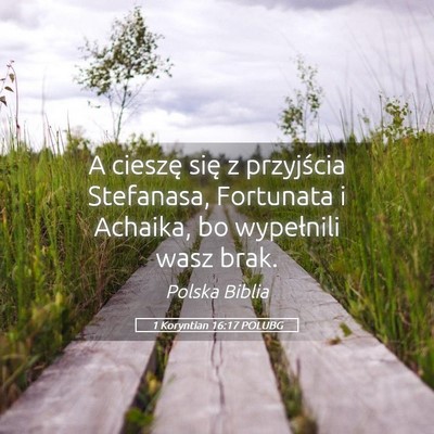 Picture 05 - 1 Koryntian 16:17 POLUBG - A cieszę się z przyjścia Stefanasa, Fortunata - Bible Verse Picture