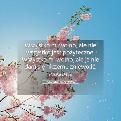 Picture 05 - 1 Koryntian 6:12 POLUBG - Wszystko mi wolno, ale nie wszystko jest - Bible Verse Picture