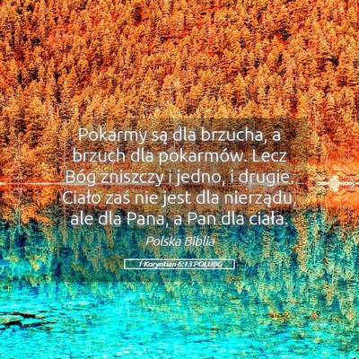 Picture 05 - 1 Koryntian 6:13 POLUBG - Pokarmy są dla brzucha, a brzuch dla pokarmów. - Bible Verse Picture