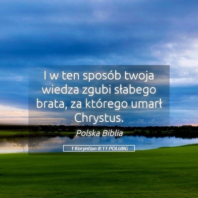 Picture 05 - 1 Koryntian 8:11 POLUBG - I w ten sposób twoja wiedza zgubi słabego - Bible Verse Picture