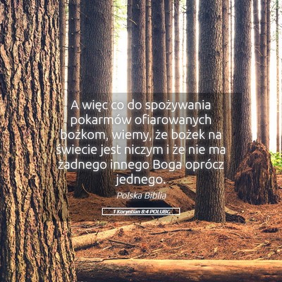 Picture 05 - 1 Koryntian 8:4 POLUBG - A więc co do spożywania pokarmów ofiarowanych - Bible Verse Picture