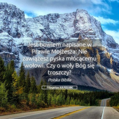 Picture 05 - 1 Koryntian 9:9 POLUBG - Jest bowiem napisane w Prawie Mojżesza: Nie - Bible Verse Picture