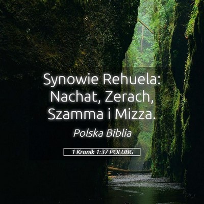 Picture 05 - 1 Kronik 1:37 POLUBG - Synowie Rehuela: Nachat, Zerach, Szamma i - Bible Verse Picture