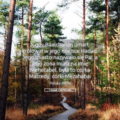 Picture 05 - 1 Kronik 1:50 POLUBG - A gdy Baalchanan umarł, królował w jego - Bible Verse Picture