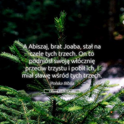 Picture 05 - 1 Kronik 11:20 POLUBG - A Abiszaj, brat Joaba, stał na czele tych - Bible Verse Picture