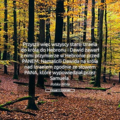 Picture 05 - 1 Kronik 11:3 POLUBG - Przyszli więc wszyscy starsi Izraela do króla - Bible Verse Picture