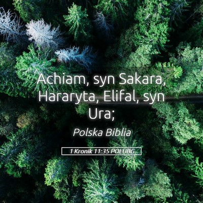 Picture 05 - 1 Kronik 11:35 POLUBG - Achiam, syn Sakara, Hararyta, Elifal, syn - Bible Verse Picture