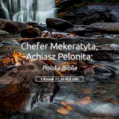 Picture 05 - 1 Kronik 11:36 POLUBG - Chefer Mekeratyta, Achiasz - Bible Verse Picture