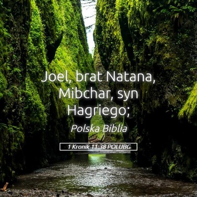 Picture 05 - 1 Kronik 11:38 POLUBG - Joel, brat Natana, Mibchar, syn - Bible Verse Picture