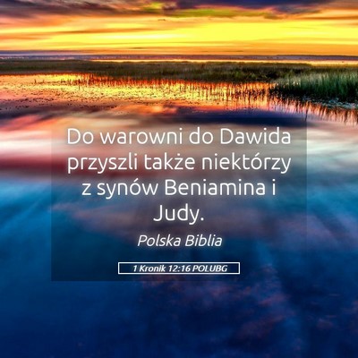 Picture 05 - 1 Kronik 12:16 POLUBG - Do warowni do Dawida przyszli także niektórzy z - Bible Verse Picture
