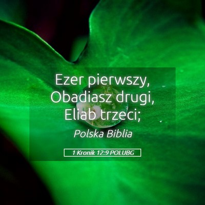 Picture 05 - 1 Kronik 12:9 POLUBG - Ezer pierwszy, Obadiasz drugi, Eliab - Bible Verse Picture