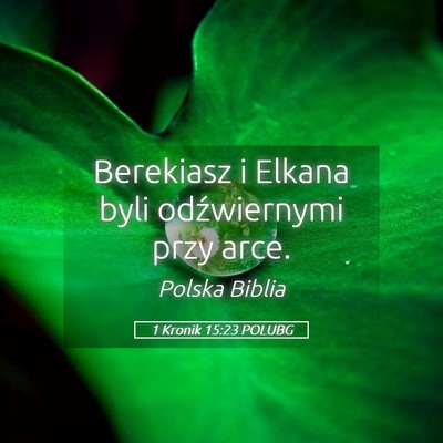 Picture 05 - 1 Kronik 15:23 POLUBG - Berekiasz i Elkana byli odźwiernymi przy - Bible Verse Picture