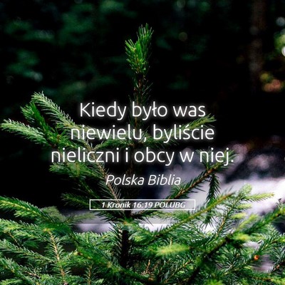 Picture 05 - 1 Kronik 16:19 POLUBG - Kiedy było was niewielu, byliście nieliczni i - Bible Verse Picture